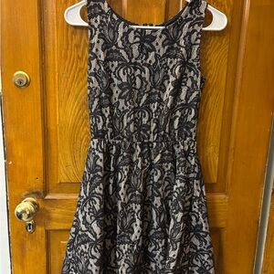 Elegant Black and Cream Lace Dress